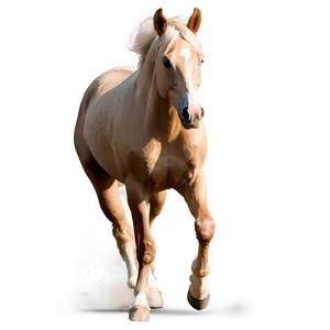 Beautiful Running Palomino Horse Png 06292024 PNG Image