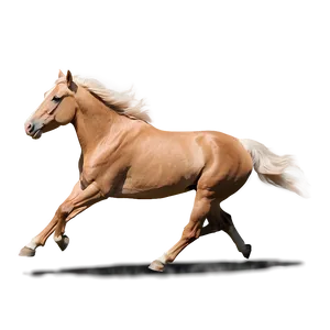 Beautiful Running Palomino Horse Png 17 PNG Image