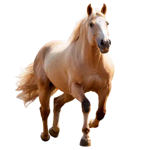 Beautiful Running Palomino Horse Png Eqr58 PNG Image