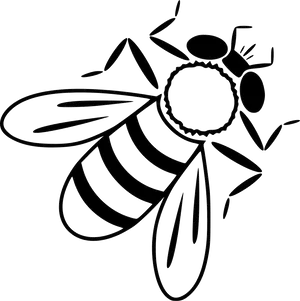 Bee Line Art Illustration PNG Image