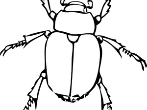 Beetle Silhouette Outline PNG Image