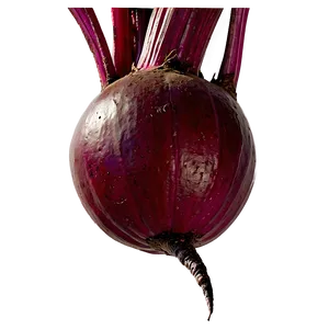 Beetroot Png Smt20 PNG Image