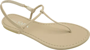 Beige Thong Sandal Product Showcase PNG Image