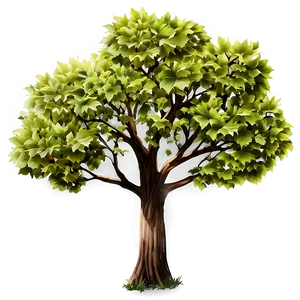 Big Tree C PNG Image