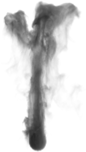 Billowing Black Smoke Texture PNG Image