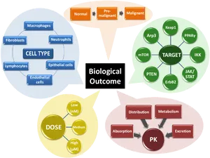 Biological_ Outcome_ Concept_ Map PNG Image