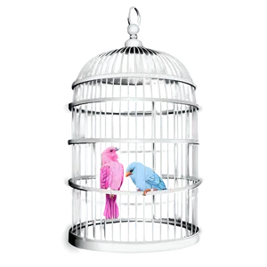 Bird Cage D PNG Image