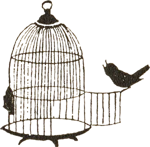 Bird Escaping Cage Illustration PNG Image