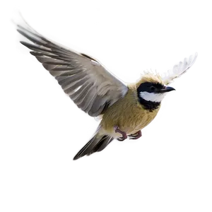 Bird Flying B PNG Image