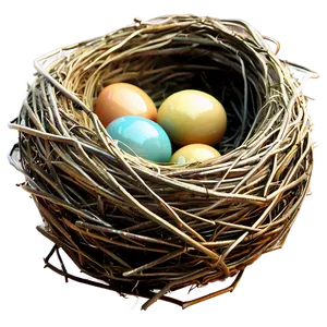 Bird Nest Clipart Png Fcy67 PNG Image