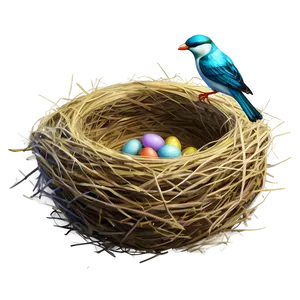 Bird Nest Illustration Png Qhs PNG Image