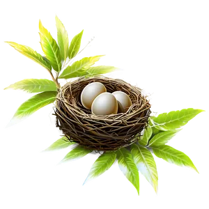 Bird Nest In Tree Png 40 PNG Image