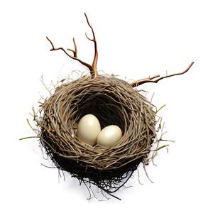 Bird Nest In Tree Png Kmw93 PNG Image