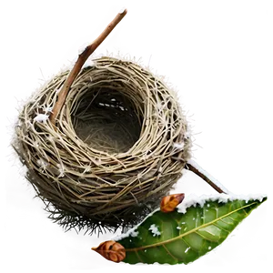 Bird Nest In Winter Png 98 PNG Image