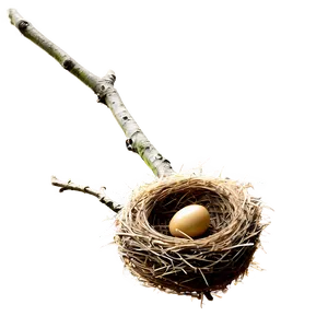 Bird Nest On Branch Png Kqu64 PNG Image