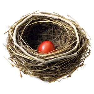 Bird Nest Top View Png Omw PNG Image