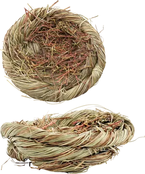 Bird Nest Twigs Top Side View PNG Image