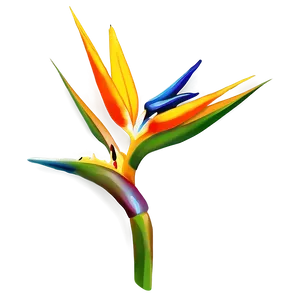 Bird Of Paradise Clipart Png 73 PNG Image