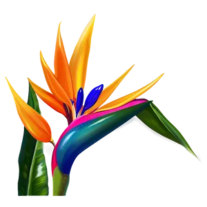 Bird Of Paradise Decoration Png 23 PNG Image