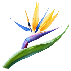 Bird Of Paradise Flower Png Ifu37 PNG Image