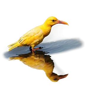 Bird Reflection Png Dqr PNG Image