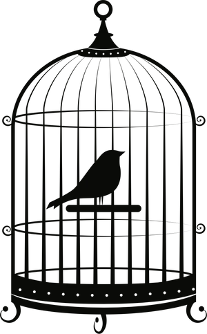 Birdin Cage Silhouette PNG Image