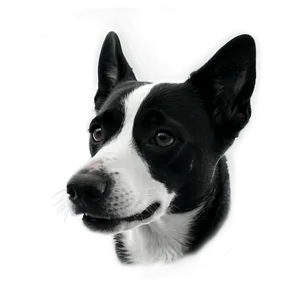 Black And White Dog Face Png 06212024 PNG Image