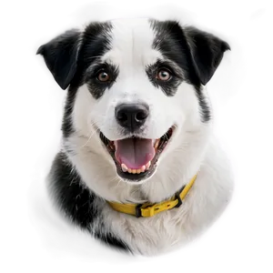 Black And White Dog Face Png 6 PNG Image