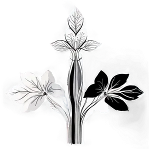 Black And White Floral Art Png Fxy PNG Image