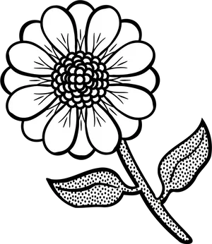 Black And White Floral Illustration PNG Image