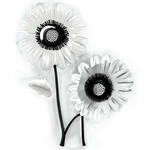 Black And White Flower Illustration Png 05252024 PNG Image