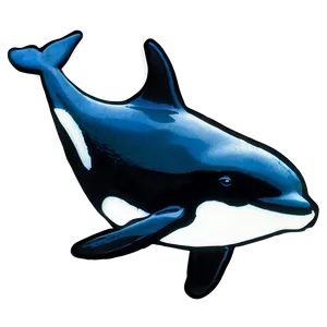 Black And White Orca Png Fgc12 PNG Image