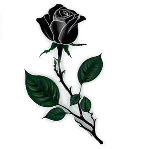 Black And White Rose Art Png Pnj PNG Image