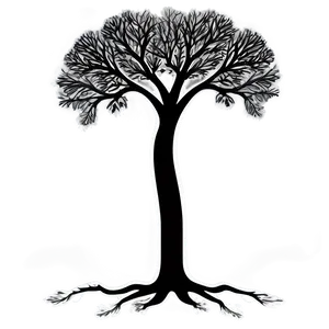 Black And White Tree With Detailed Branches Png 87 PNG Image