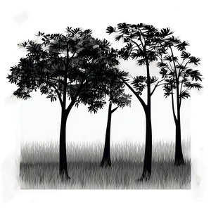 Black And White Trees Scenery Png Ohj PNG Image