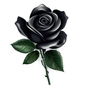 Black And White Vector Rose Png 61 PNG Image