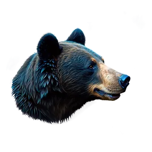 Black Bear Head Png 74 PNG Image