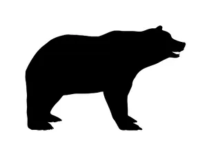 Black Bear Silhouette PNG Image