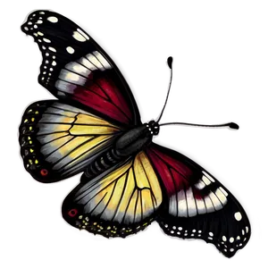 Black Butterfly Illustration Png 4 PNG Image