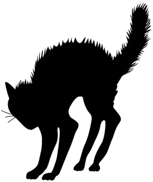 Black Cat Arched Back Silhouette PNG Image