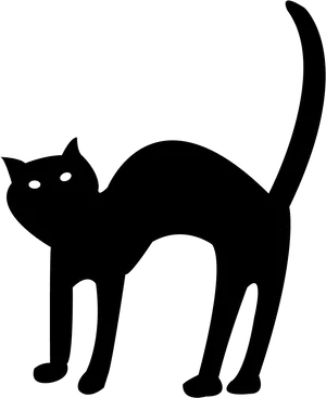 Black Cat Silhouette Graphic PNG Image