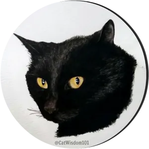 Black Cat Yellow Eyes Artwork PNG Image