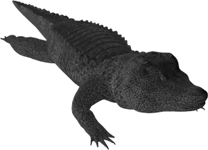 Black Crocodile Graphic PNG Image