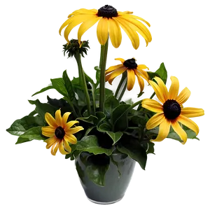 Black Eyed Susan Floral Arrangement Png 18 PNG Image