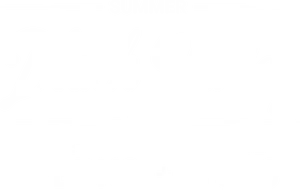 Black Friday Summer Sale Promotion PNG Image