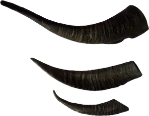 Black Goat Horns Set PNG Image