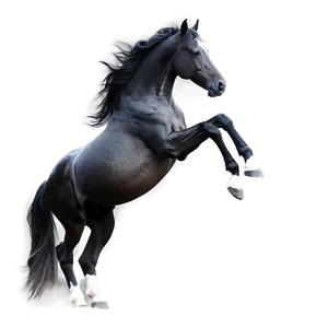 Black Horse Digital Artwork Png 96 PNG Image