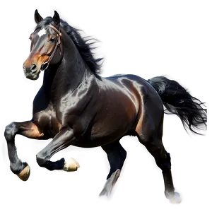 Black Horse Galloping Illustration Png Ury PNG Image