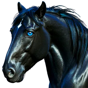 Black Horse With Blue Eyes Png Hdh54 PNG Image