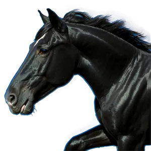 Black Horse With Blue Eyes Png Qwd PNG Image